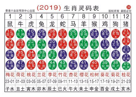 2023年属|2023完整生肖表图 正宗版2023生肖卡表